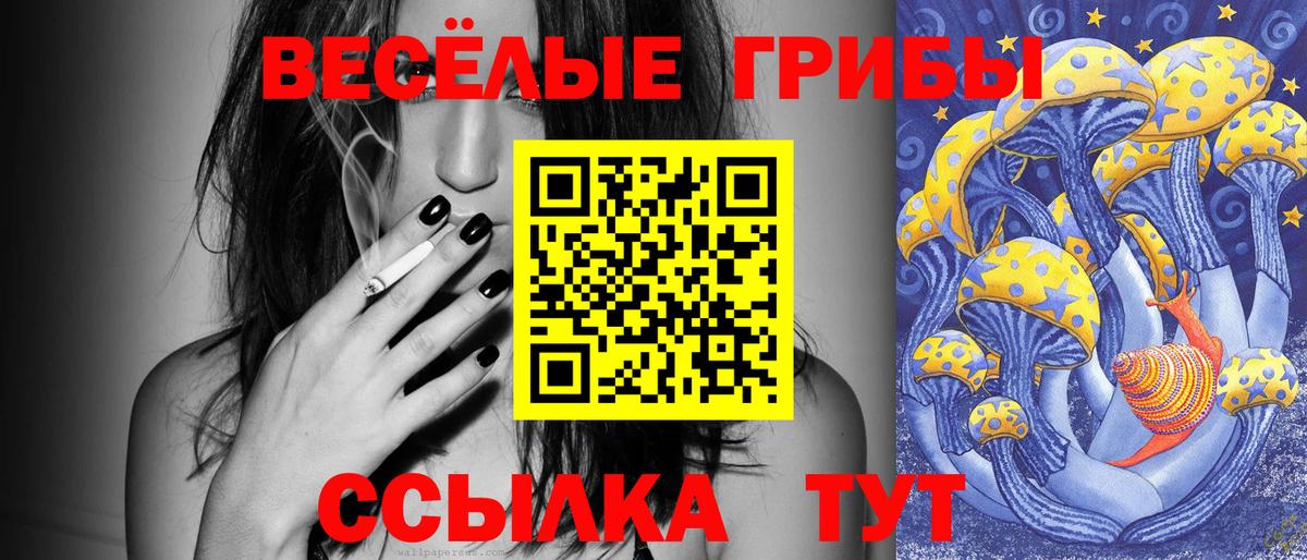 Галлюциногенные грибы прущие грибы  Вятские Поляны  Псилоцибиновые грибы прущие грибы 