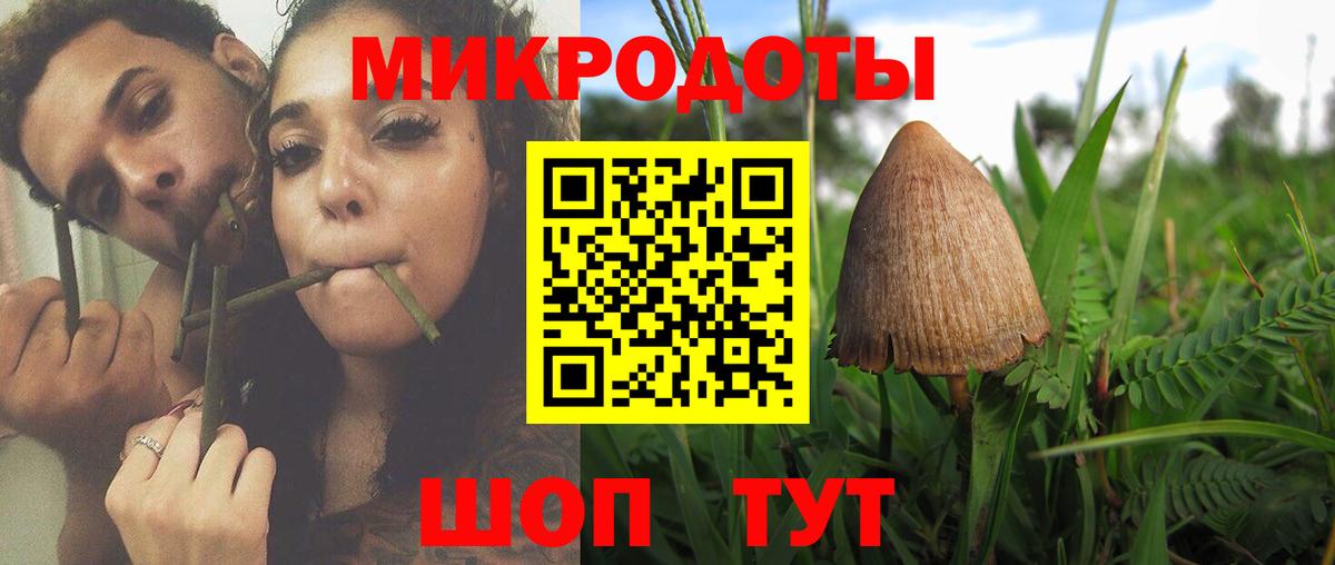 Псилоцибиновые грибы GOLDEN TEACHER  Вход с VPN  Галлюциногенные грибы Cubensis  Вятские Поляны 