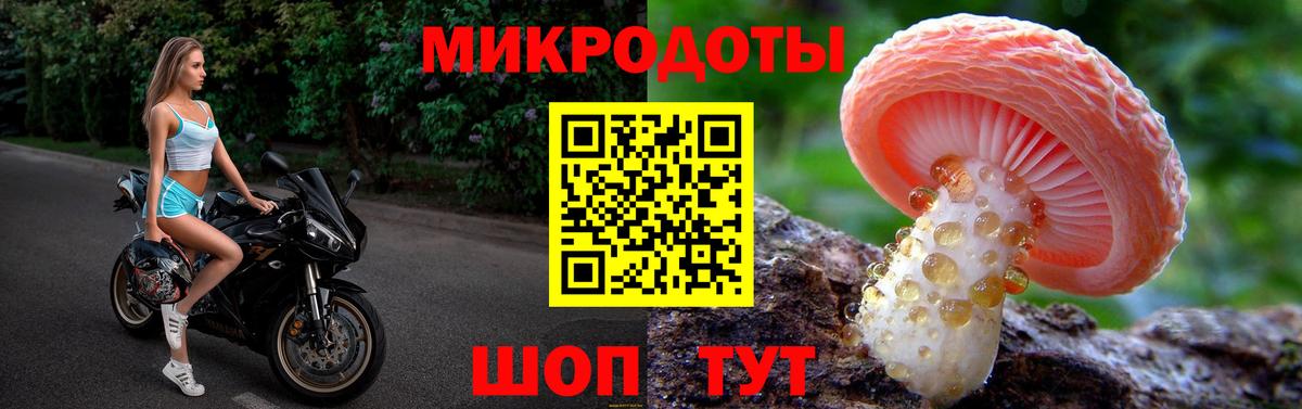 Псилоцибиновые грибы прущие грибы Вятские Поляны