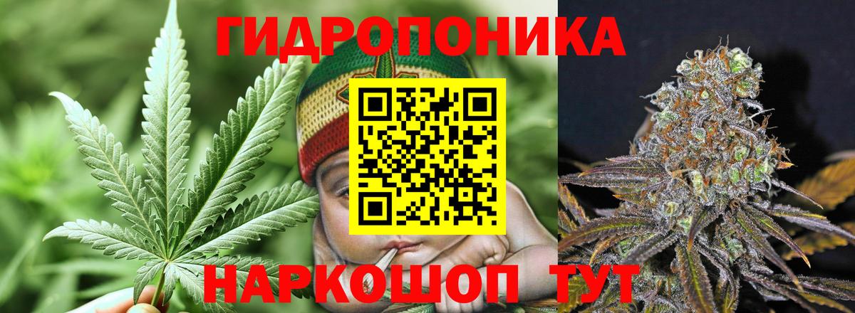 Бошки марихуана SATIVA & INDICA Вятские Поляны
